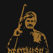 deathwish bronson