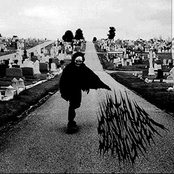 Devouring Angel Hearts