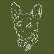 Grits & Greens: Fleas