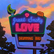 Drumming Bird: Great Smoky Love