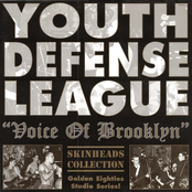 VOICE OF BROOKLYN