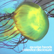 Celestial Disclosure