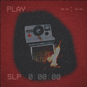 Polaroids & Violence