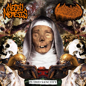 Putrid Sanctity