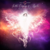 In the Company of Angels