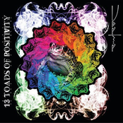 13 Toads Of Positivity