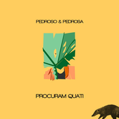 Procuram Quati