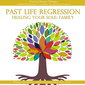 Past Life Regression : Healing Your Soul Family