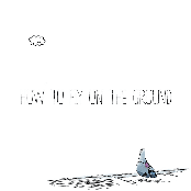 How To Fly On The Ground