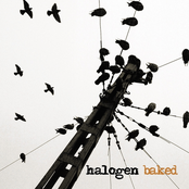 Baked by Halogen