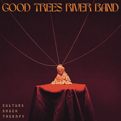 Good Trees River Band: Culture Shock Therapy