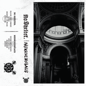 Menschenstaub x No Shelter. Split