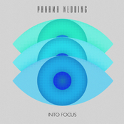 Into Focus EP