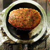 Of Septic Delicacies