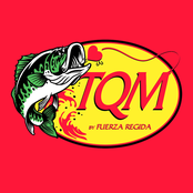 Fuerza Regida: TQM