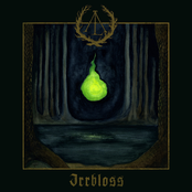 Irrbloss