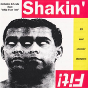 Shakin' Fit