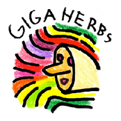 giga herbs