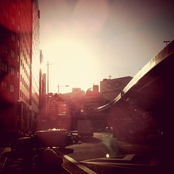 Reflections of a polarity item