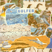 Gulfer: Gulfer