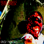 Orgy Morgue