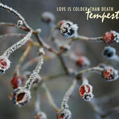 Kookaburra by Love Is Colder Than Death