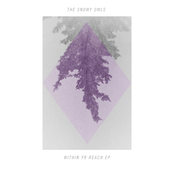 Within Yr Reach EP