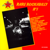 Rare Rockabilly Vol.1