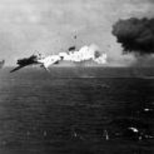 No Need for a Helmet