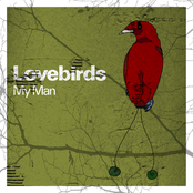 My Man by Lovebirds