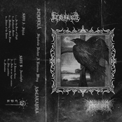 Shadow Under A Raven's Wing