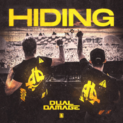 Dual Damage: Hiding