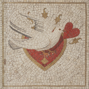 Fly (Sarà Perché Ti Amo) - Single