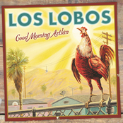 What In The World by Los Lobos