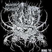 Fermenting In Five-Way Filth [Split] (2009)