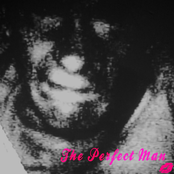 The Perfect Man