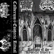 Realms of the Mystical Towers