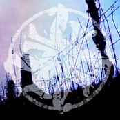 A Thick Rope And A Strong Branch