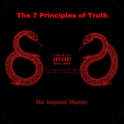 The 7 Principles of TRUTH