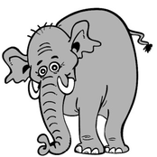 Elephant
