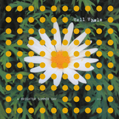 A Brighter Summer Day