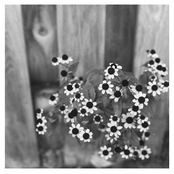 Please Take Nothing But Memory