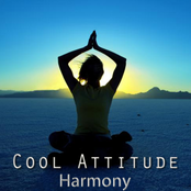 Cool Attitude: Harmony