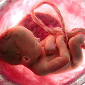 III: Human Breeding