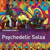 The Rough Guide to Psychedelic Salsa