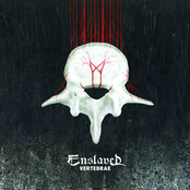 Enslaved: Vertebrae