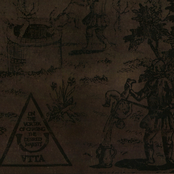 On the vortex of chasing for the desired majesty