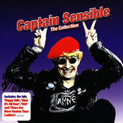 Royal Rave Up by Captain Sensible