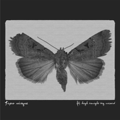 Fly High Tonight Big Wizard