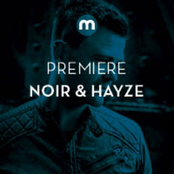 noir & hayze